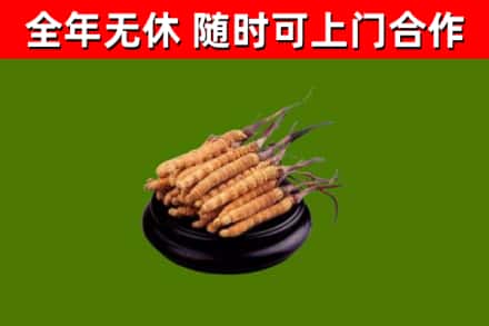象山县烟酒回收冬虫夏草.jpg